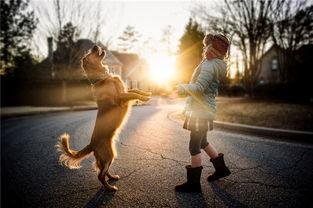 坚强自信的图片 第2张 坚强自信的图片 第2张