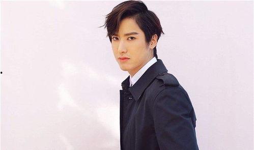 袁成杰照片,光影中的魅力演绎