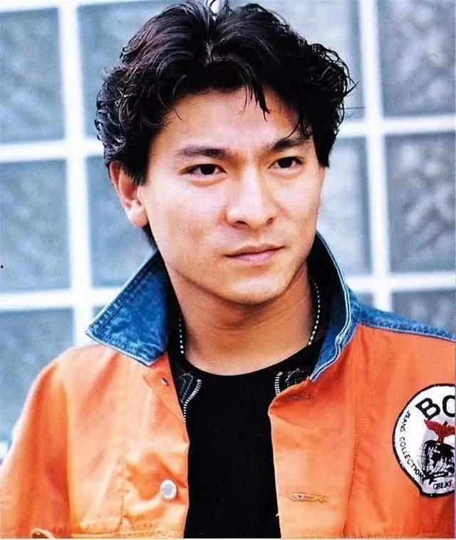 喜欢的明星刘德华,华语影坛的永恒巨星 第2张 喜欢的明星刘德华,华语影坛的永恒巨星 第2张