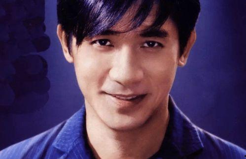 喜欢的明星刘德华,华语影坛的永恒巨星 第3张 喜欢的明星刘德华,华语影坛的永恒巨星 第3张