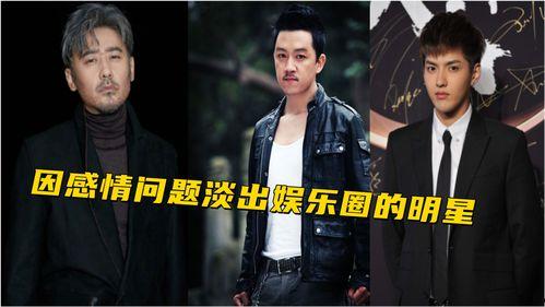 娱乐圈黑料2015,揭秘明星背后的真相  第2张