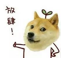 表情包一个赛艇 第3张 表情包一个赛艇 第3张